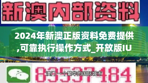 新澳2024正版资料免费公开-词语释义解释落实