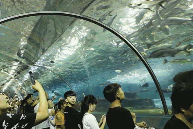 2025年新澳正版精准资料免费大全, 2025年新澳正版精准资料免费大全，探索最新资源与信息的海洋