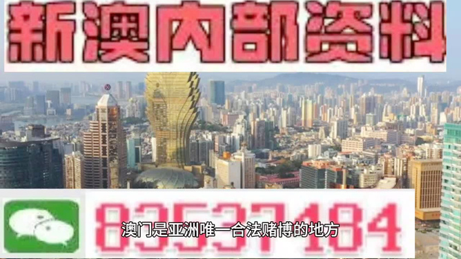 2025年澳门精准资料大全,澳门精准资料大全——探索未来的繁荣与机遇（2025年展望）